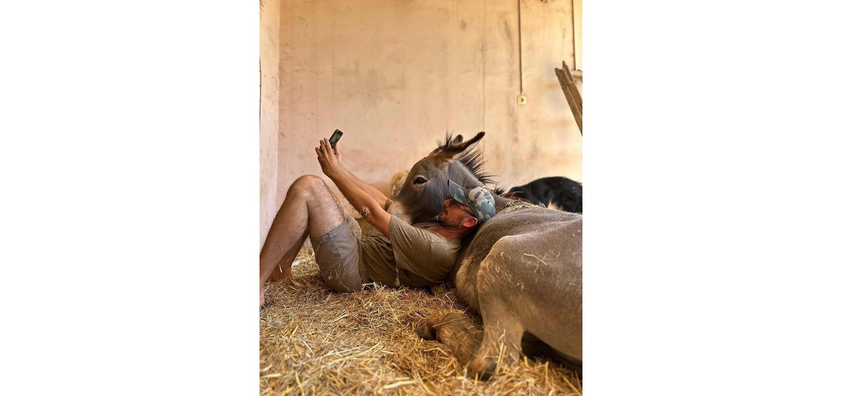 Student Agromediteranskog fakulteta (39): Uz posao, farmu i obitelj završavam još jedan diplomski studij